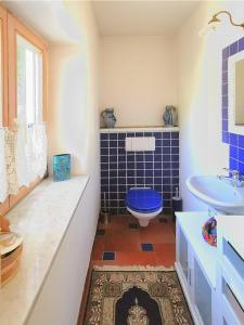 a bathroom with a blue toilet and a sink at Im Inntal Dahoam in Brannenburg