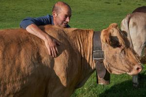 a man leaning on the back of a cow at La Posada de Cucayo in Dobres