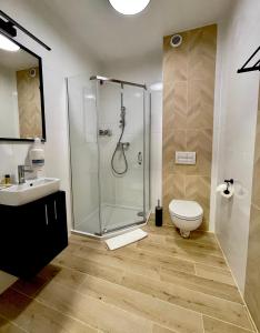 a bathroom with a shower and a toilet and a sink at Hotel Mużakowski in Łęknica +81 photos