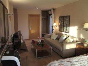 een woonkamer met een bank en een tv bij Hotel Era Conte in Bierge