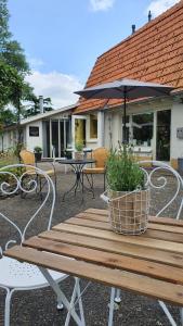 a wooden picnic table with an umbrella and chairs at B&B Sagenland in Harbrinkhoek