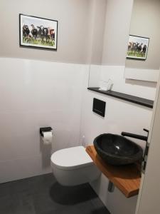 a bathroom with a toilet and a black sink at Ferienwohnung am Welper-Wald-Vechta-Süd in Vechta