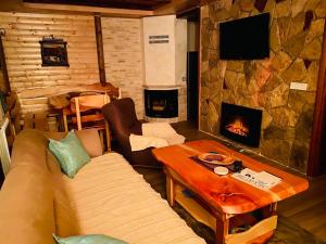 - un salon avec un canapé et une cheminée dans l'établissement Holiday Homes Durmitorski Gaj, à Žabljak