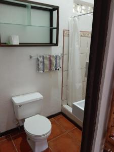 a bathroom with a white toilet and a shower at Iguana Libre in Dominical