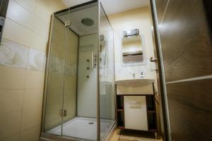 モイセイにあるPensiunea Dianaのシャワーと洗面台付きのバスルーム +71枚の写真