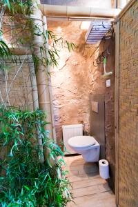 a bathroom with a toilet and some plants at Little India Vijlen appartement 1 in Vijlen