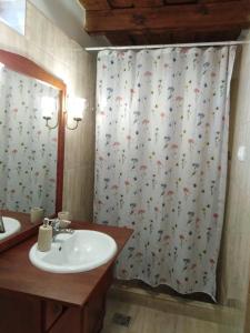 uma casa de banho com um lavatório e uma cortina de chuveiro em Recece vendégház em Gyepükaján
