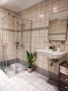 une salle de bain avec une douche, un lavabo et un miroir dans l'établissement Odyssey Studios, à La Canée