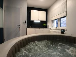 Gallery image of Apartment Zagreb Jacuzzi in Zagreb