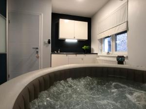 Fotografia z galérie ubytovania Apartment Zagreb Jacuzzi v Záhrebe + 37 fotografií