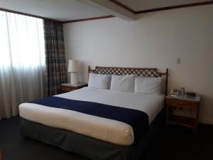 Postel nebo postele na pokoji v ubytování Hotel Bristol