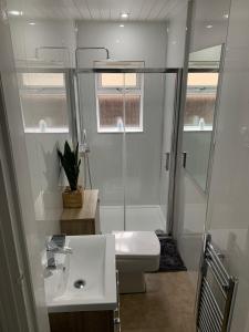 a bathroom with a shower and a toilet and a sink at Woodvale Flat, Renton, Loch Lomond in Renton