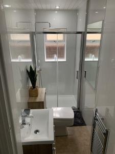Un baño con ducha, inodoro y lavabo. en Woodvale Flat, Renton, Loch Lomond, en Renton
