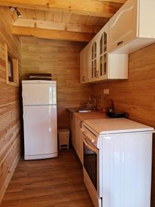 a small kitchen with a white refrigerator and cabinets at Holiday home Mountain in Žabljak