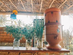a group of vases sitting on a table with plants at Canto de Jurema Corumbau Glamping, Chalé, Acolhimento e Sustentabilidade in Corumbau