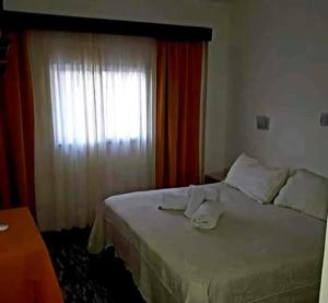 een slaapkamer met een groot bed en een raam bij Nuevo Hotel Roble in Termas de Río Hondo