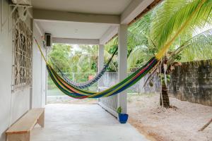 a hammock on a porch with a palm tree at Wanigi Guesthouse in Punta Gorda