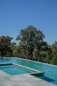 a swimming pool with trees in the background at Spicers Guesthouse in Pokolbin