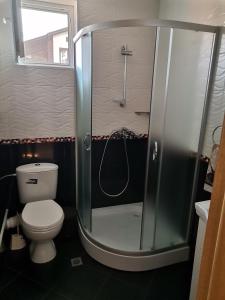 a bathroom with a shower and a toilet at Апартамент Стил in Velingrad