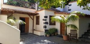 uma casa com duas palmeiras num pátio em La Casita de la Vega em Icod de los Vinos