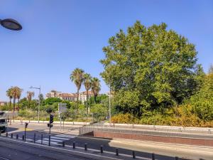 a bus driving down a road with palm trees at Aparthotel AMMI Vieux Nice in Nice