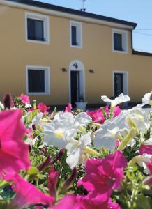 a field of flowers in front of a house at B&B Riva del Gallo in Tresigallo