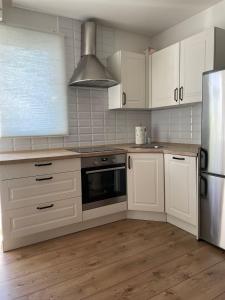 Kuchyň nebo kuchyňský kout v ubytování Apartment Ria