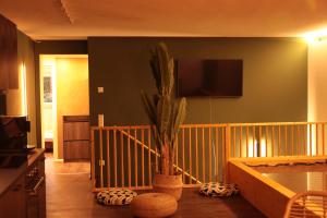 a living room with a potted plant on a wall at Kabali and Kasamui in Karlsruhe