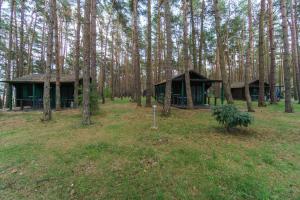 LütowUrlaub im Bungalow mitten im Wald的树林中间的两座小屋
