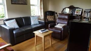 Gormanstown House Apt, The Island的休息区