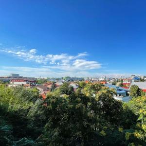 a view of a city with trees and buildings at Studio L by MRG Apartments in Bucharest