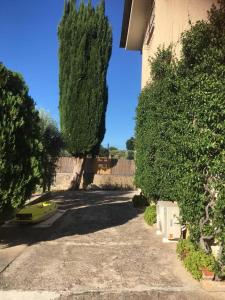 Gallery image of Casa fra gli ulivi di Giuseppe in Sonnino