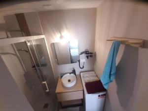 a small bathroom with a sink and a shower at 3 Apt T2 COSY de 40 à 50 M2 Idéal pour un déplacement PRO " Les IRIS " in Bourg-Saint-Andéol