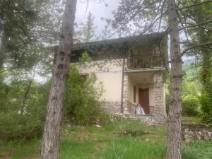 une maison dans les bois avec des arbres dans l'établissement Esclusivo chalet immerso nel verde, à Filettino