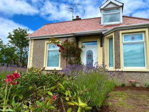 een huis met paarse bloemen ervoor bij Rose Cottage: Delightful 4 bedroom detached home in Portrush