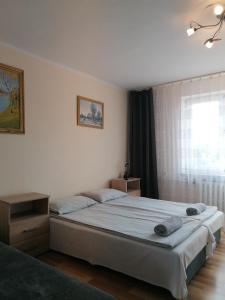 a bedroom with a large bed and a window at Noclegi Michaś in Krasnobród