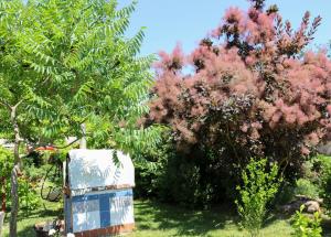 Ảnh trong thư viện ảnh của Rókavár Vendégház ở Csánig