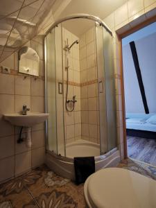 a bathroom with a shower and a toilet and a sink at Zielony Dom in Bolesławiec