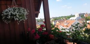 Balkón nebo terasa v ubytování APARTMANI Emerald Dream