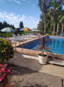 a pool with chairs and a potted plant next to it at Casa Rural COMPLEX MASIA DEL TREMENDO y Agroturismo in Camarles