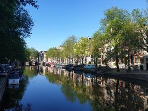 un fiume con auto parcheggiate sul lato di B&B Singel Suites ad Amsterdam