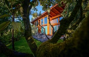 une maison dans les bois avec des arbres au premier plan dans l'établissement Rinoterra Minho, à Caminha