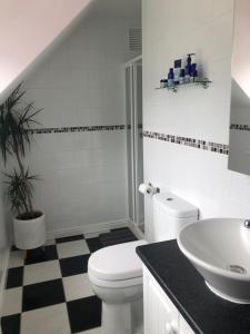 a white bathroom with a toilet and a sink at Foxborough BnB in Droichead an Chaisleáin