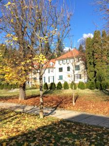 a white house with a tree in front of it at Vila Rogashka One Bedroom Apartment in Rogaška Slatina