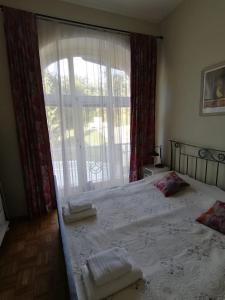 a bedroom with a bed and a large window at Vila Rogashka One Bedroom Apartment in Rogaška Slatina