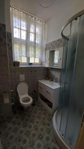 y baño con aseo, lavabo y ducha. en Vila Rogashka One Bedroom Apartment, en Rogaška Slatina