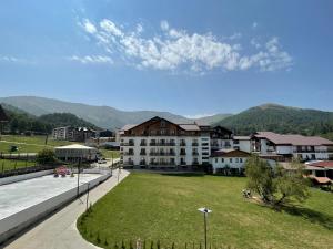 山景或在公寓式酒店看到的山景