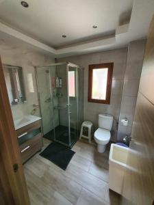 een badkamer met een douche, een toilet en een wastafel bij Casa de campo Padul in Granada