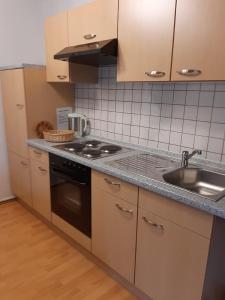 a kitchen with a sink and a stove top oven at Ferienwohnungen Malz in Blaibach