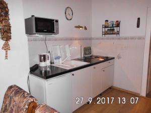 una pequeña cocina con fregadero y microondas en Familienferienwohnung im Haus Ludwig, en Masserberg